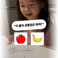 비슷한것 찾기 놀이